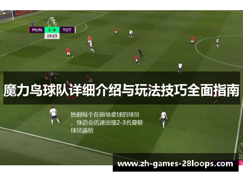魔力鸟球队详细介绍与玩法技巧全面指南