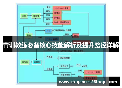 青训教练必备核心技能解析及提升路径详解 青训教练必备核心技能解析及提升路径详解