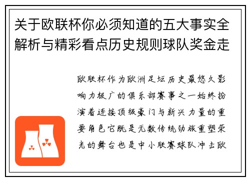 关于欧联杯你必须知道的五大事实全解析与精彩看点历史规则球队奖金走势